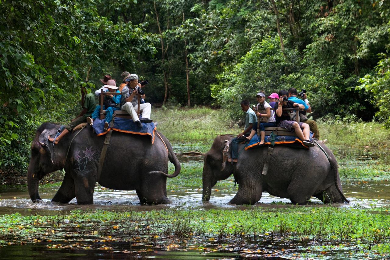 Elephant Safari in Jim Corbett