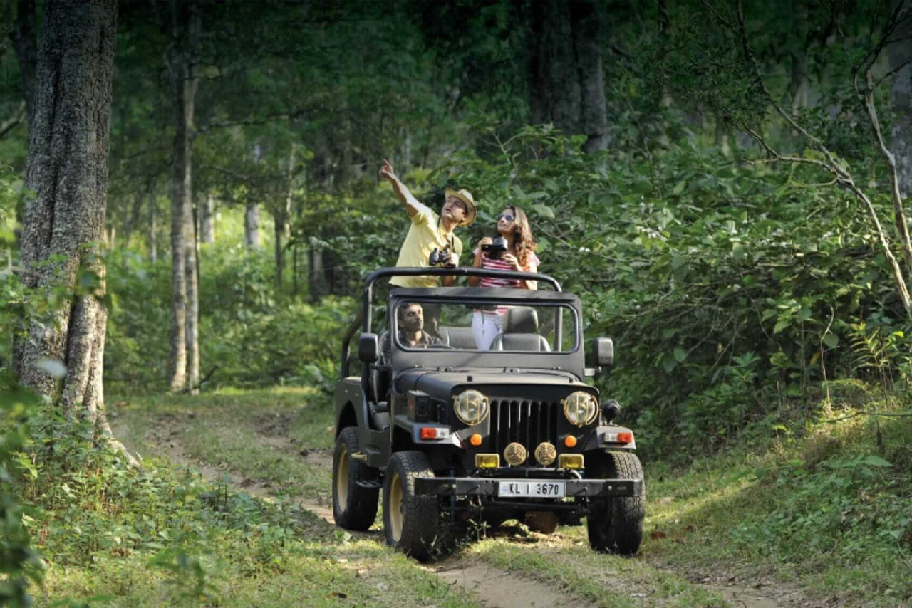 Corbett Jeep Safari