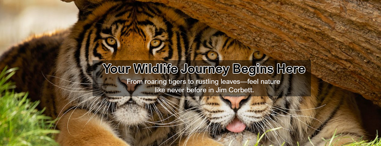 jimcorbettBanner2.jpg