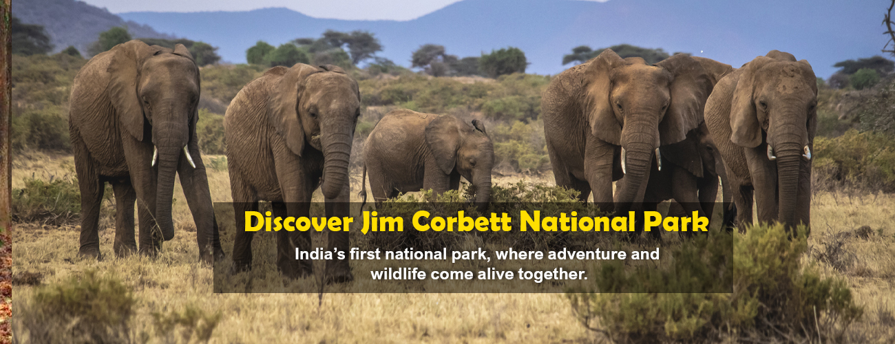 jimcorbettBanner3.jpg